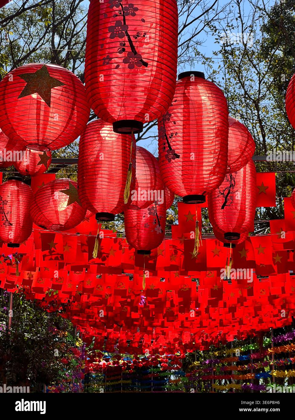 Decorative red lantern display in Duc Trong District, Lam Dong Province, Vietnam. - Smartphone Captured Stock Image