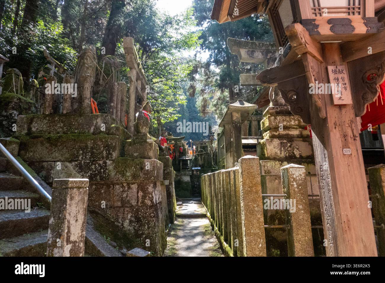 Small Shinto shrine structures and miniature torii gates line a ...