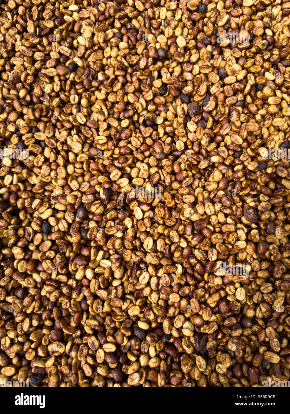 honey coffee beans natural sun dry process. top view full frame Stock Photo