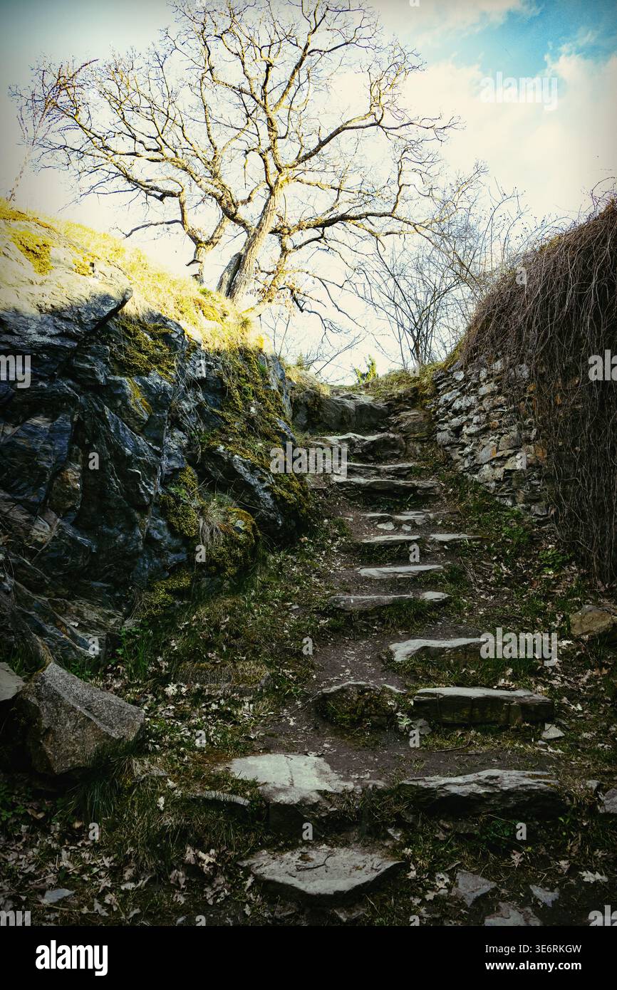 Weathered stone steps leading up a hillside toward the ruins of a ...