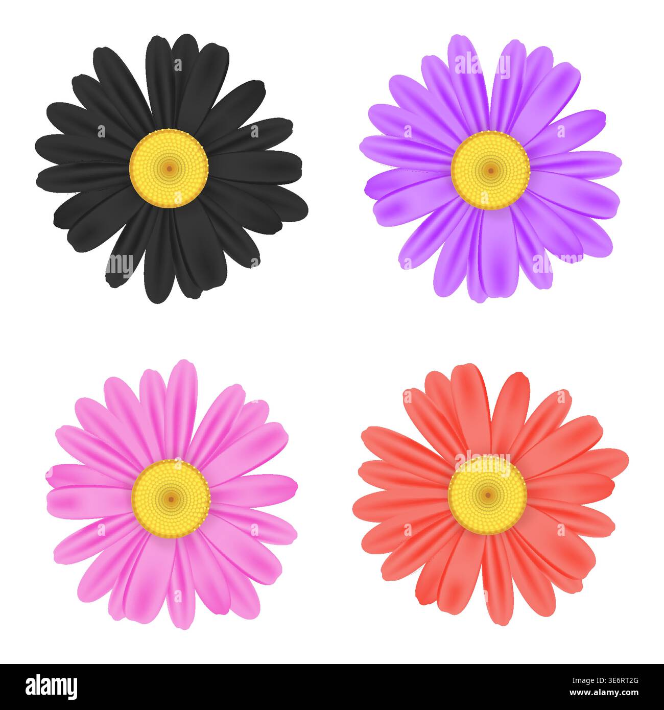 Realistic chamomile daisy flower icon collection Stock Vector