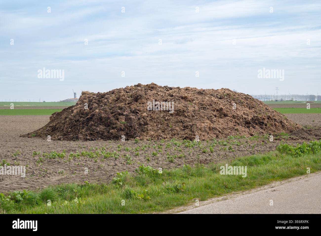 Manure Picture Pile of straw with dung, organic cow manure, natural fertilizer on an ...