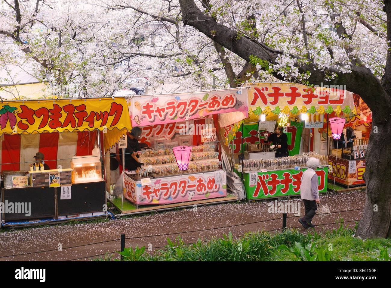 Blossom festival atmosphere hi-res stock photography and images - Alamy
