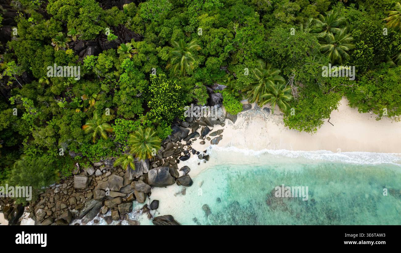Lush green forest bordering a sandy beach with scattered rocks, leading into the turquoise water. Butzel Beach. Seychelles, Mahe. Stock Photo