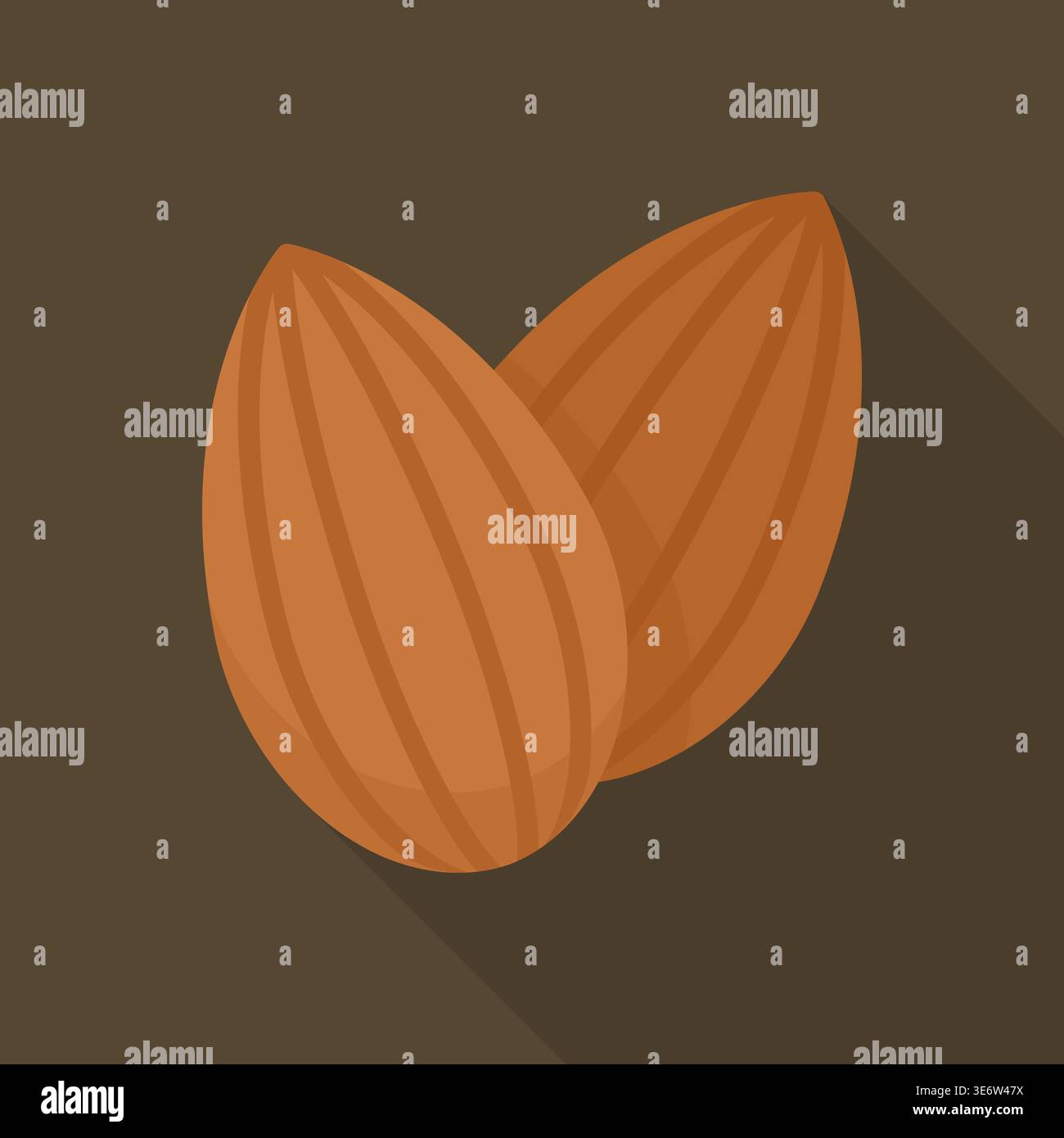 Two brown almond nuts on dark background vector illustration Stock Vector