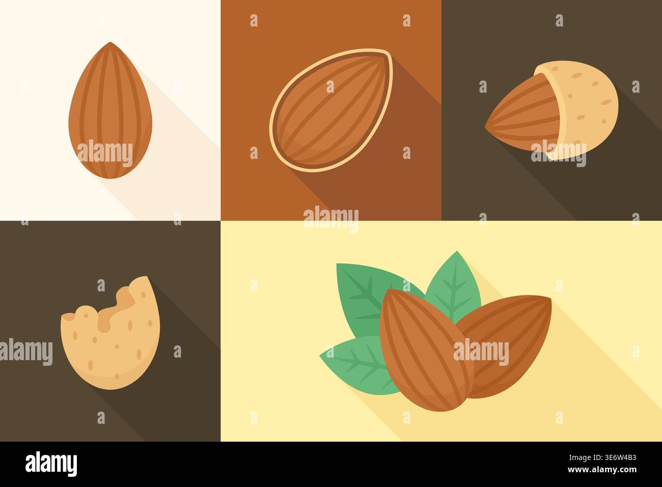 Set of almond nuts and shells in four color blocks vector illustration Stock Vector