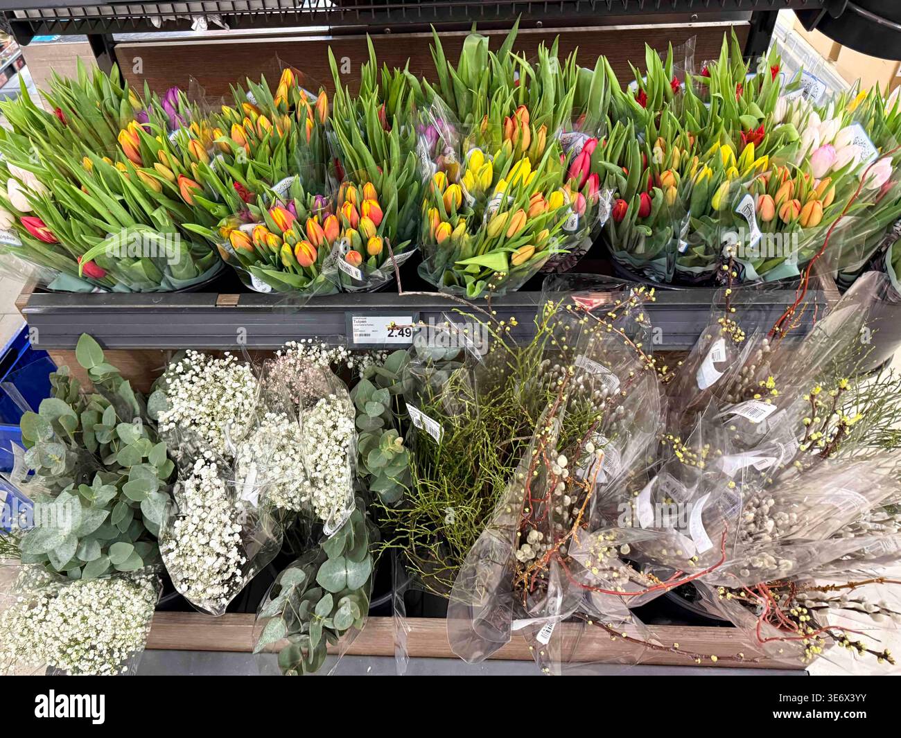 SYMB/BLUMEN
