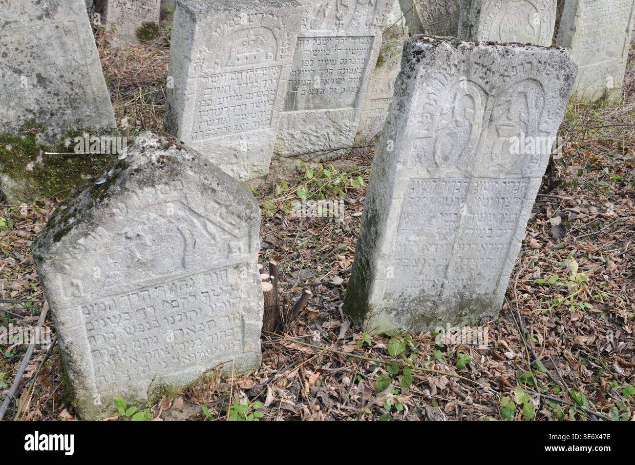 Matzevah Detailed carving of a crown and lion on a Jewish tombstone in Lubaczow ...
