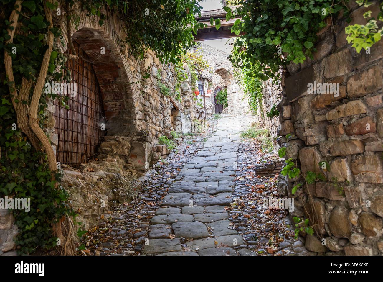 Bussana Vecchia Liguria