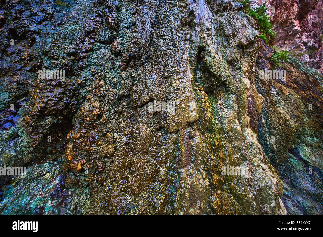 Textured Mineral Deposits and Moss on Geothermal Rock Wall Near Hot Spring Stock Photo