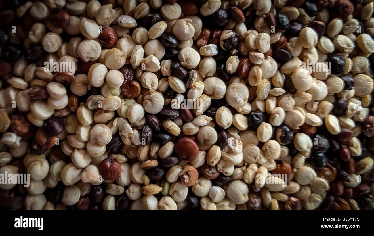 Tricolor quinoa background, mixed quinoa grains texture, healthy organic superfood ingredient Stock Photo
