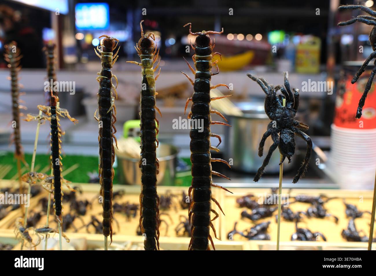 A vendor sells 'insect skewers' at Xing Shun Night Market in Shenyang ...