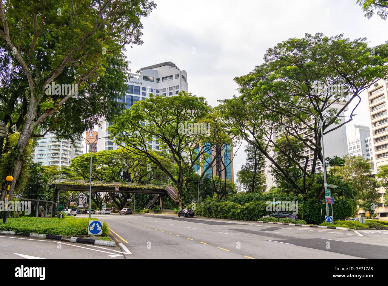 Urban street scene in Singapore featuring lush tropical trees, a green pedestrian bridge, and modern high-rise buildings during daytime. Wide angle vi Stock Photo