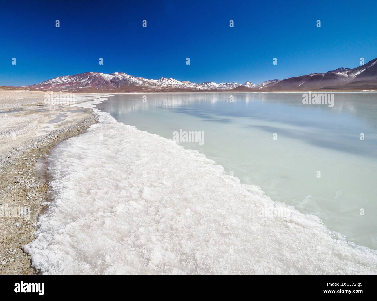 Laguna Blanca the White Lake in Southern Bolivia is an endorheic salt lake from which no water flows at 4300m in the Andes of South America Stock Photo