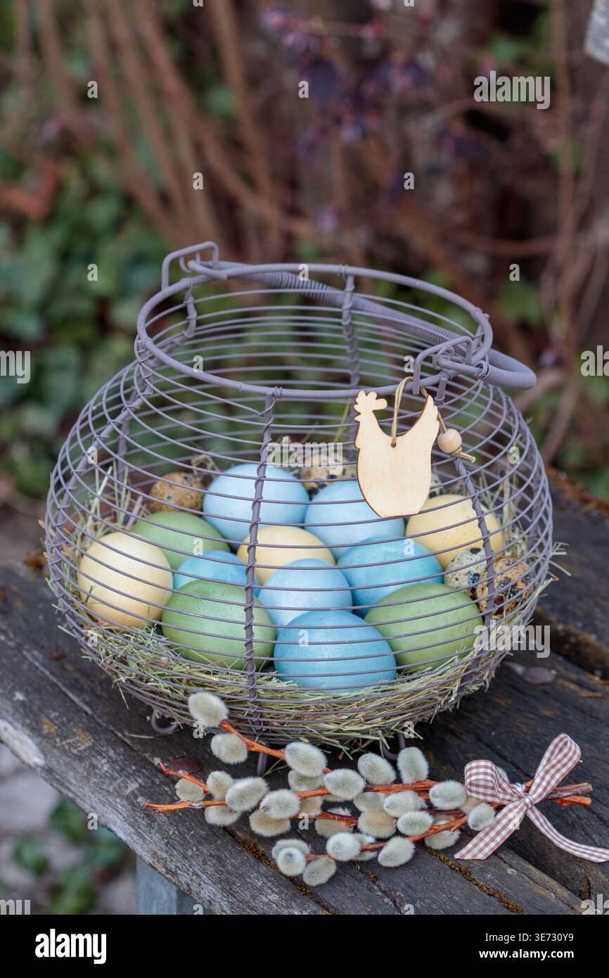 naturally dyed Easter eggs in an egg basket on the garden bench Stock Photo