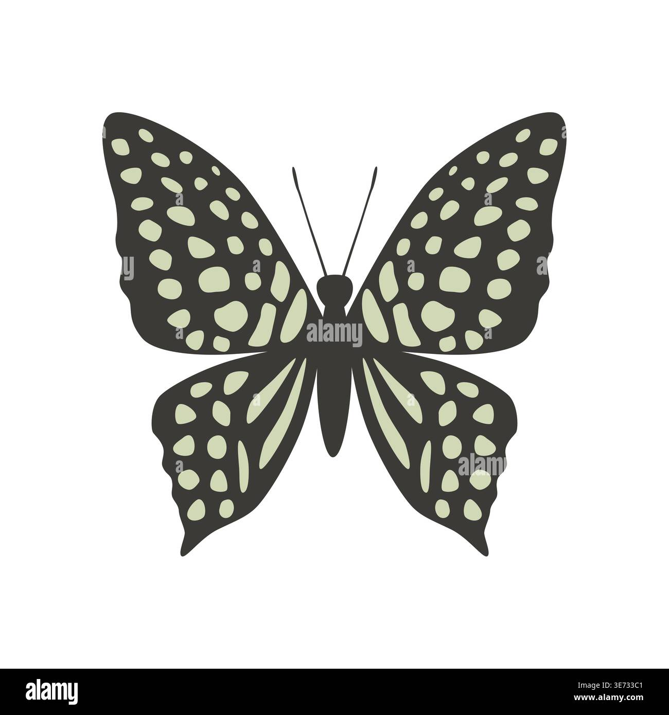 Vector butterfly graphium agamemnon. Vector illustration isolated on white background. Stock Vector