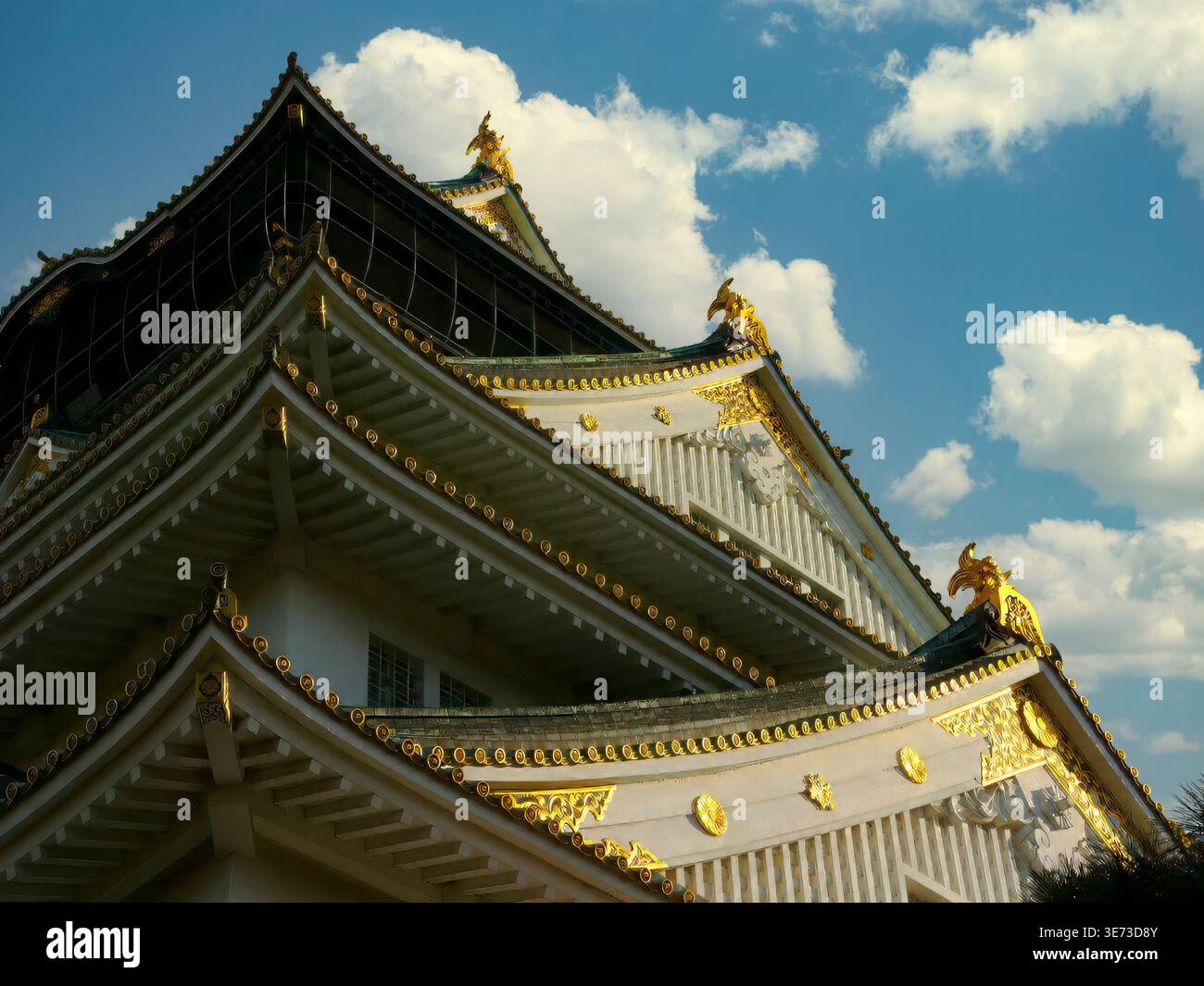 The Osaka Castle. Japan. Stock Photo