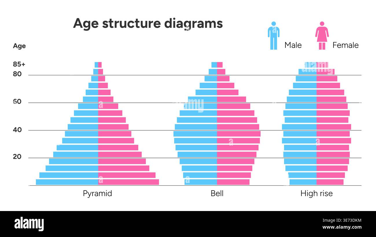 Population Infographic Video