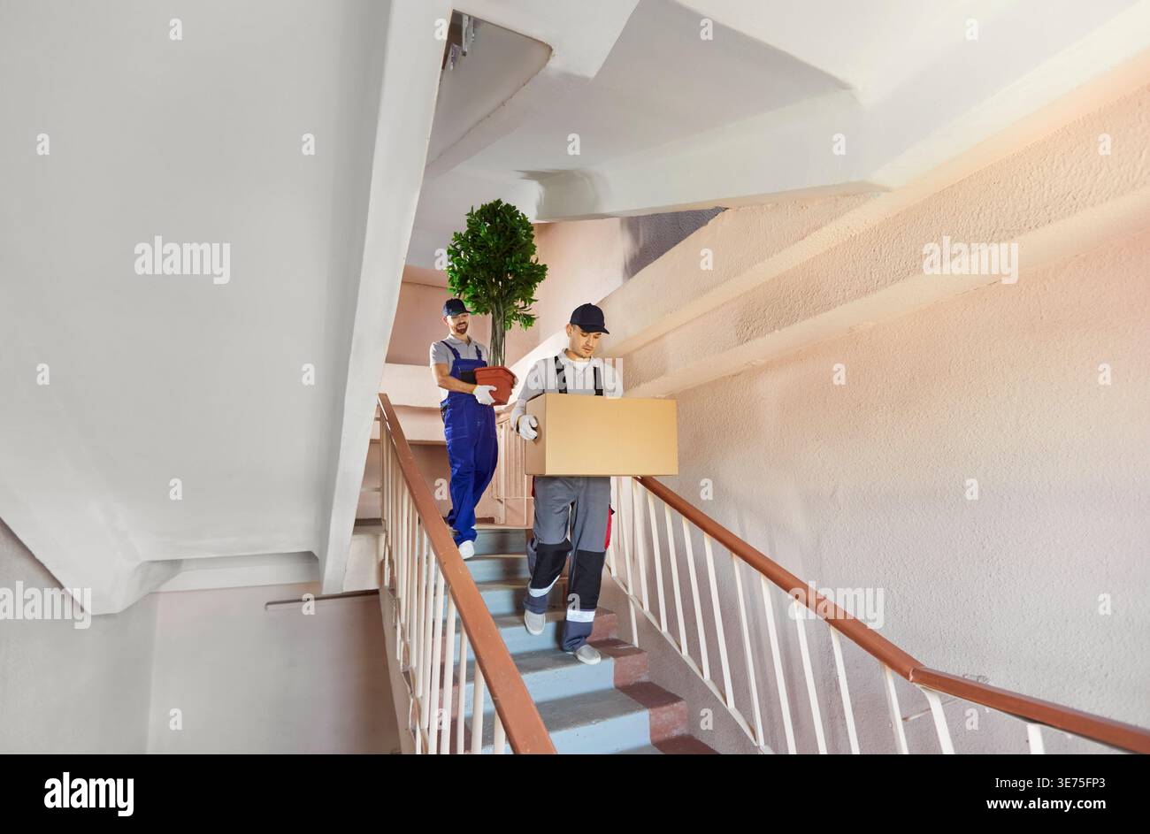 Mover Team Carrying Boxes During Relocation Stock Photo