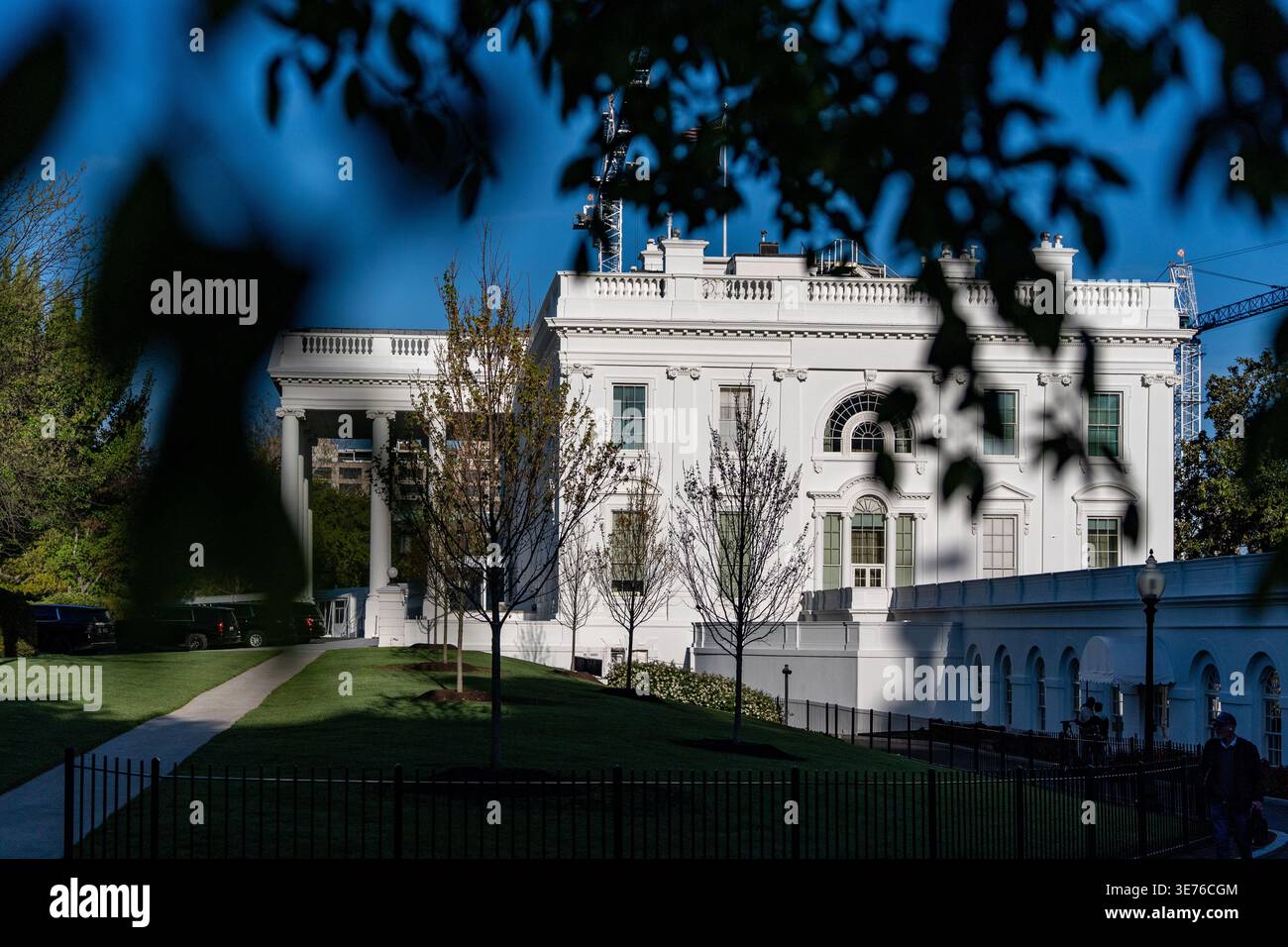 Tree branches frame the White House, Thursday, April 9, 2026, in ...
