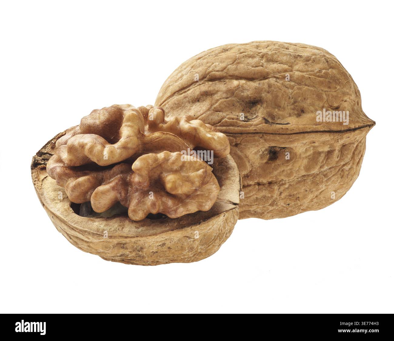 Two walnuts isolated on white background Stock Photo