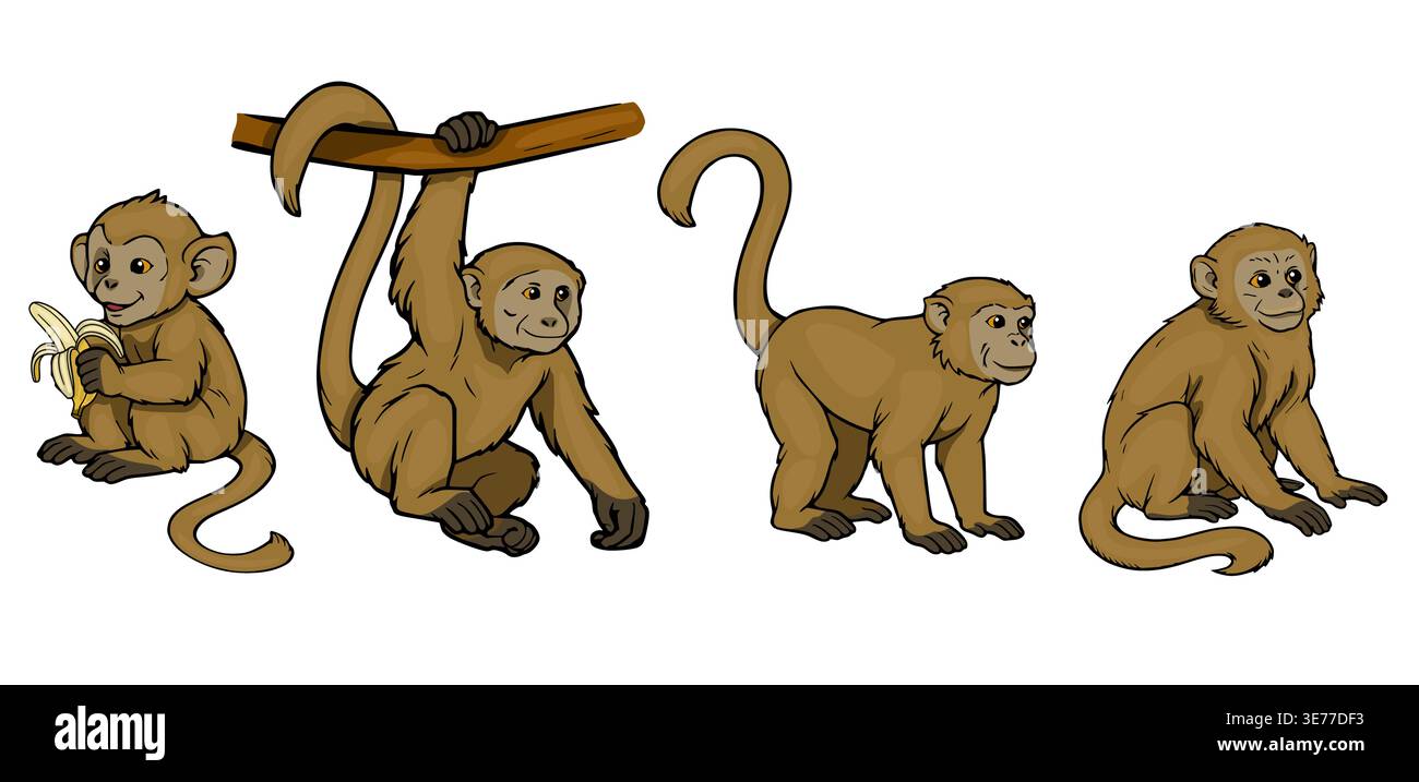Set of four cute cartoon monkeys in different poses, vector ...