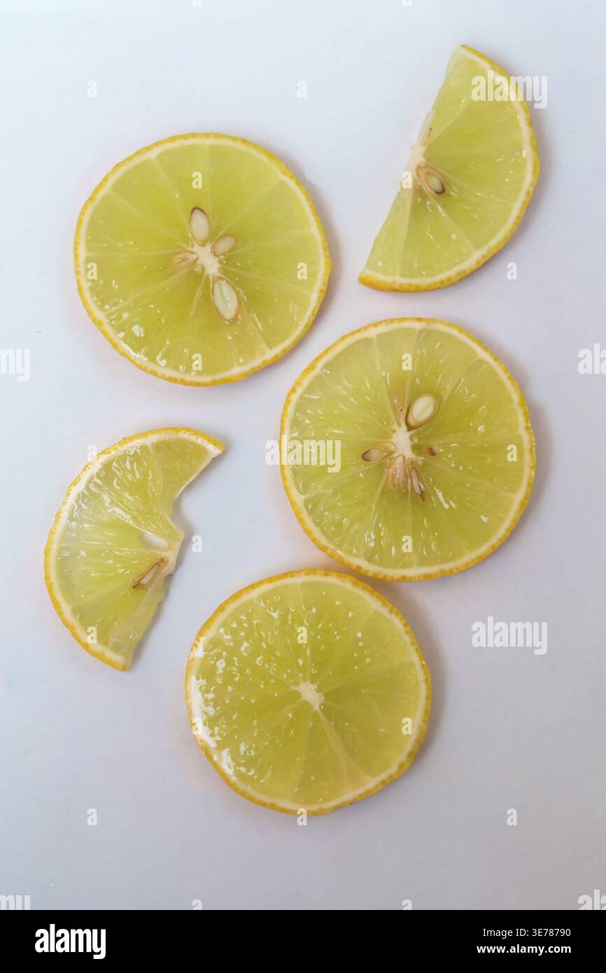 Freshly cut grapefruit slices isolated on a white background, bright pink or red citrus fruit pieces with juicy texture, healthy natural food concept. Stock Photo