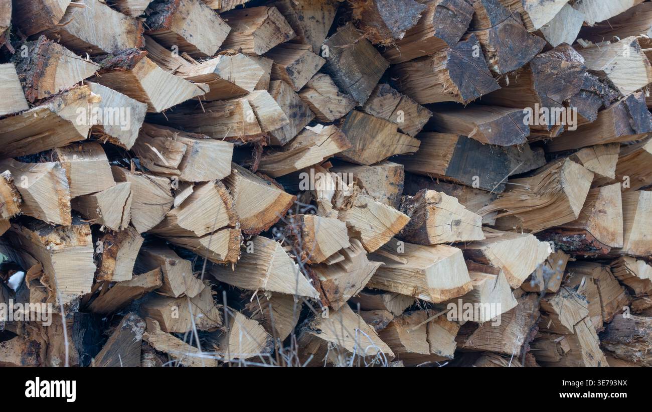 Stacked Firewood in very HIgh Resolution. High quality photo Stock Photo