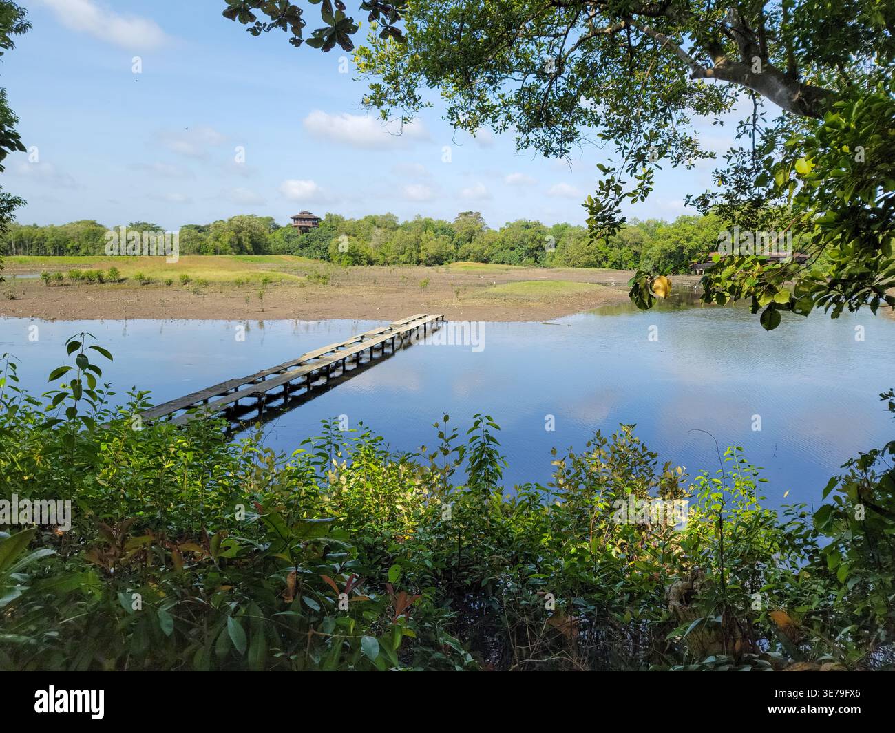 Shrubs extends hi-res stock photography and images - Alamy