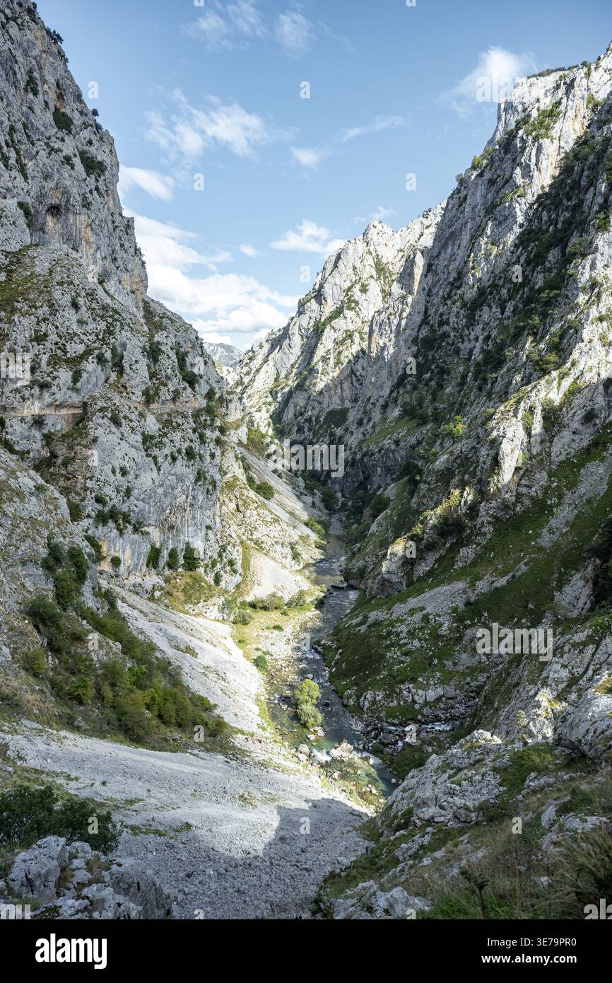 Scenic hiking trail revealing hi-res stock photography and images - Alamy