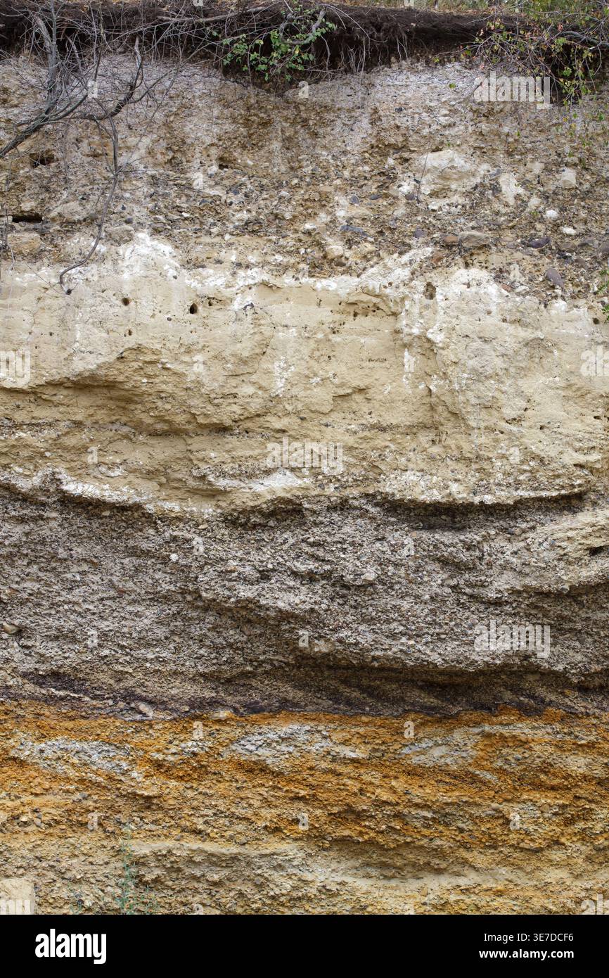 Cross section of a soil cliff showing various geological strata ...
