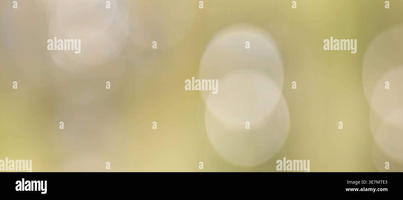 Natural olive green abstract bokeh background with soft blurred circular light spots Stock Photo