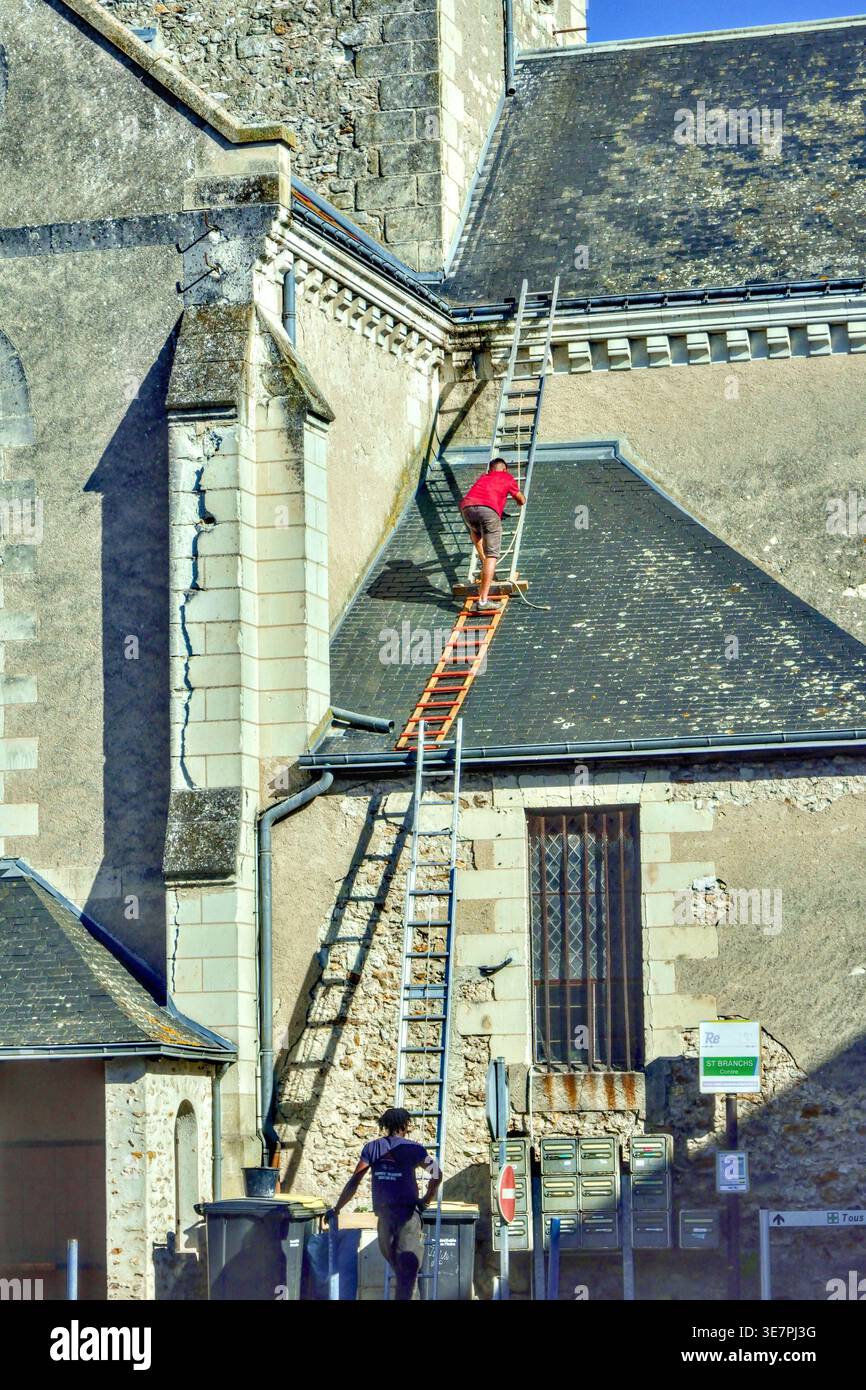 Workman without safety equipment scaling ladders propped against high church wall and roof - Saint-Branchs, Indre-et-Loire (37), France. Stock Photo