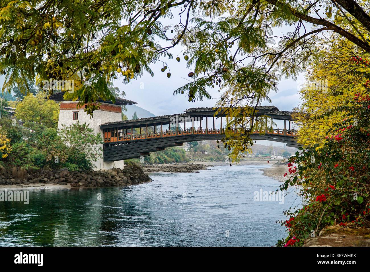 Bridge of Punakha Dzong during Spring Stock Photo