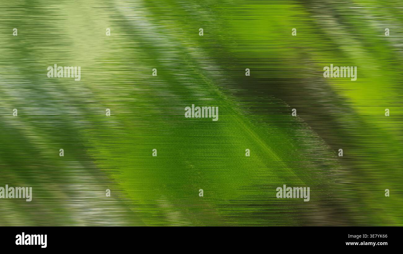 Abstract green lines creating a blurred motion background texture Stock Photo