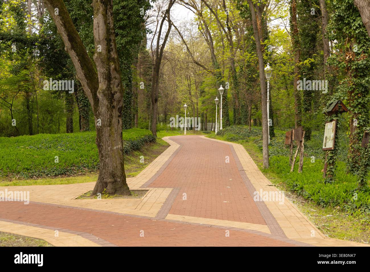 Curving Brick Path Through Lush Green Forest Stock Photo