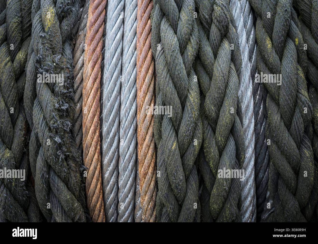 different kind of ropes on a drum Stock Photo