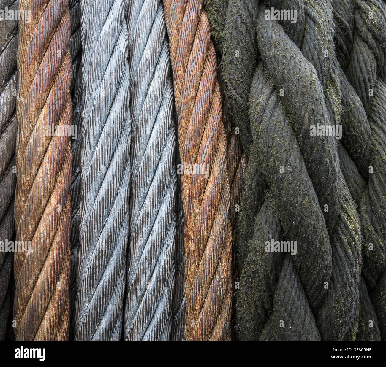 different kind of ropes on a drum Stock Photo