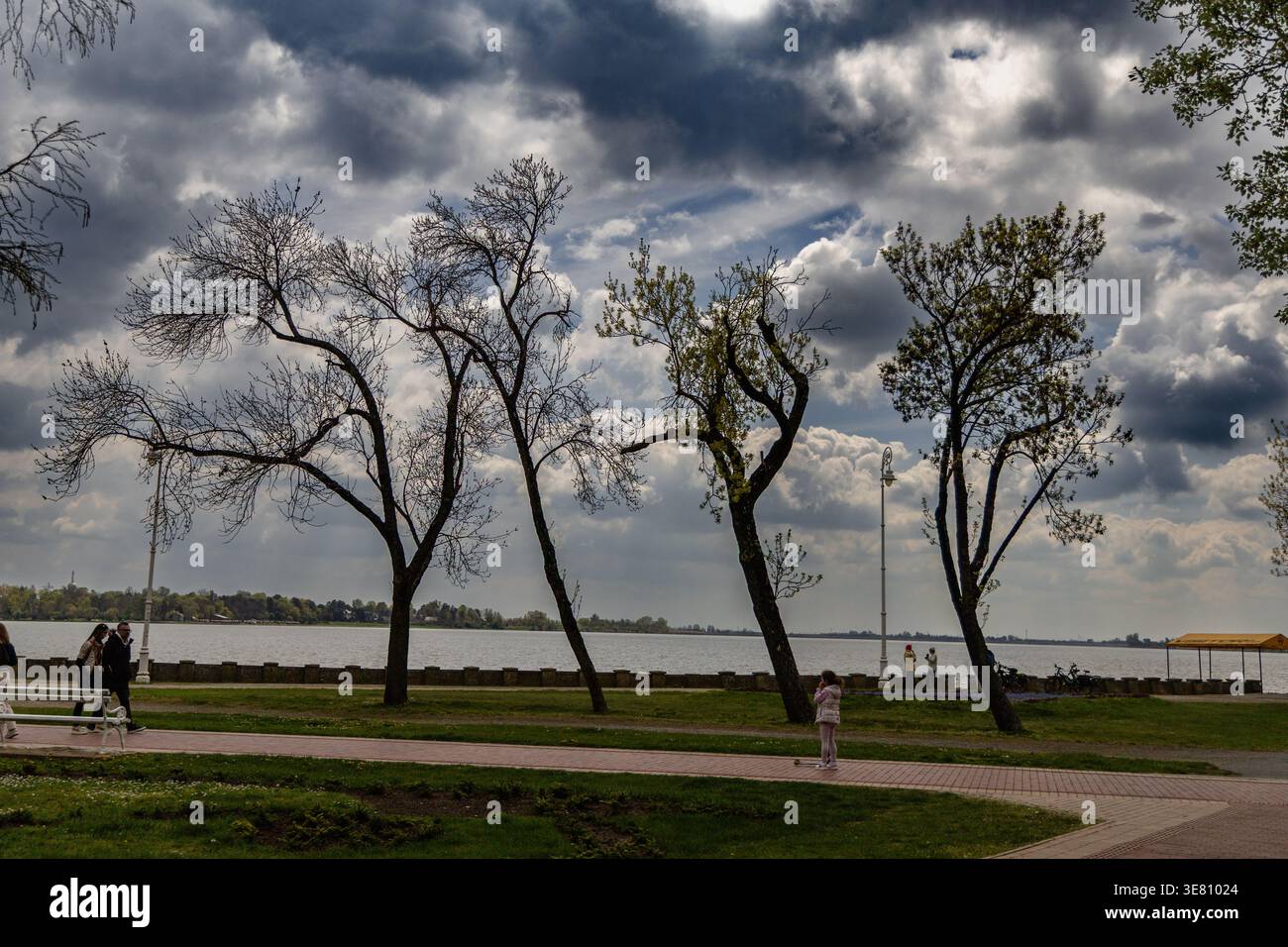 Leafless Lakeside Trees Under Dramatic Cloudy Sky Stock Photo