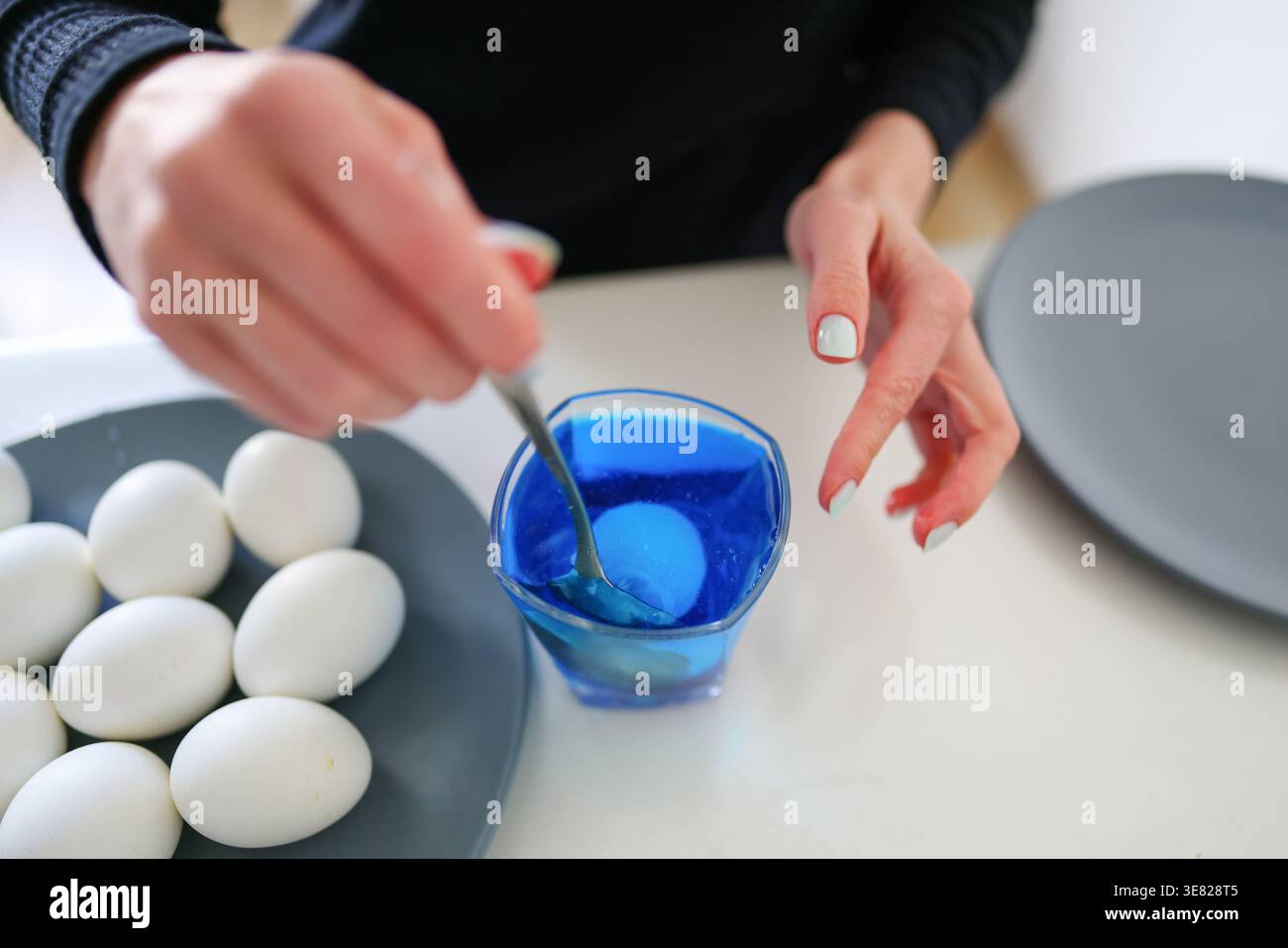 Blue dye solution with egg inside, process of coloring eggs for Easter holiday. Stock Photo