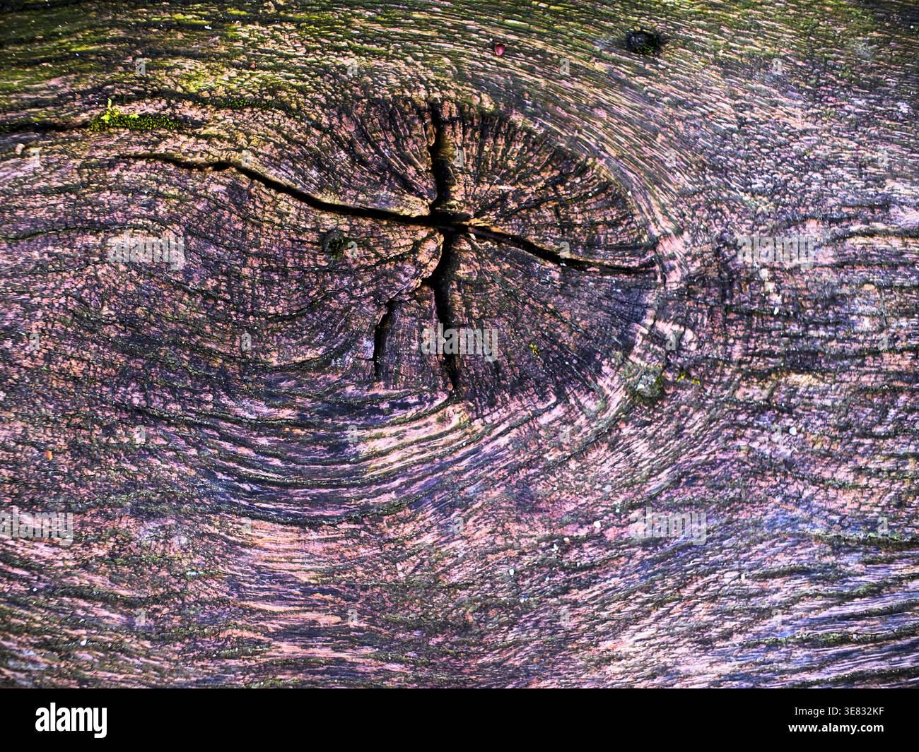Emphasizing patterns hi-res stock photography and images - Alamy
