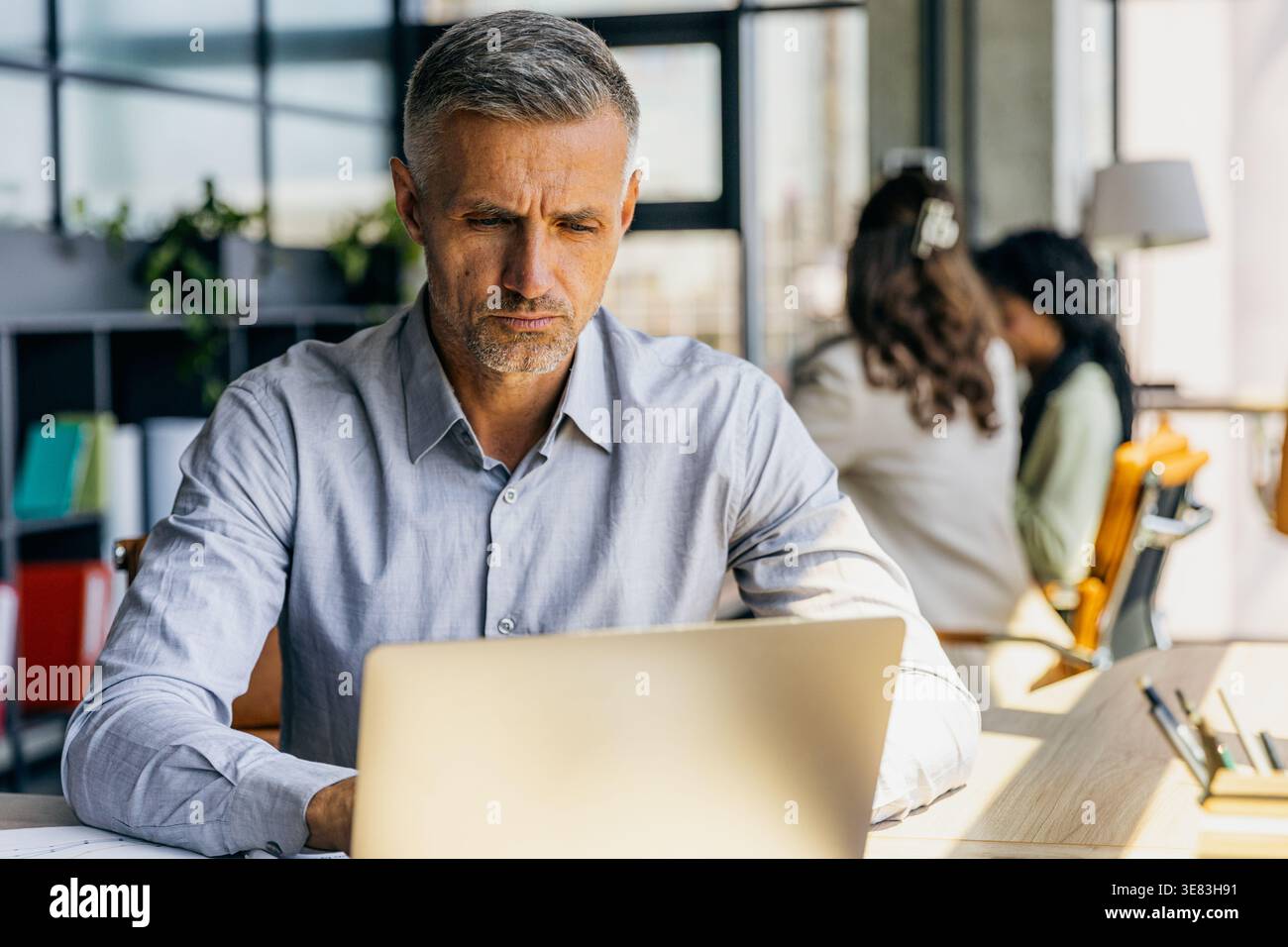 Person assesses project timeline alongside team members Stock Photo
