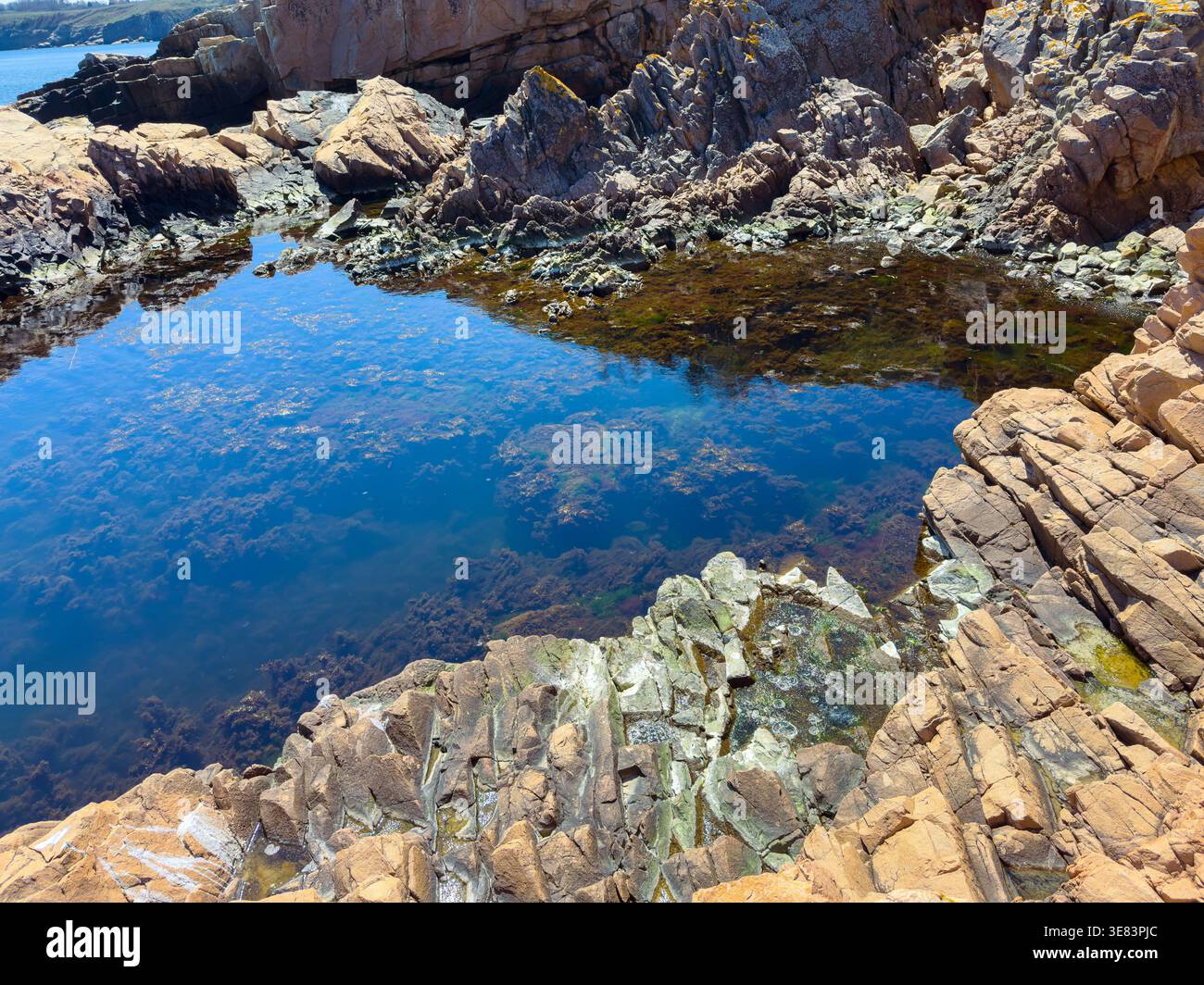 Recedad The scene shows a rocky coastal area where water has receded, exposing ...