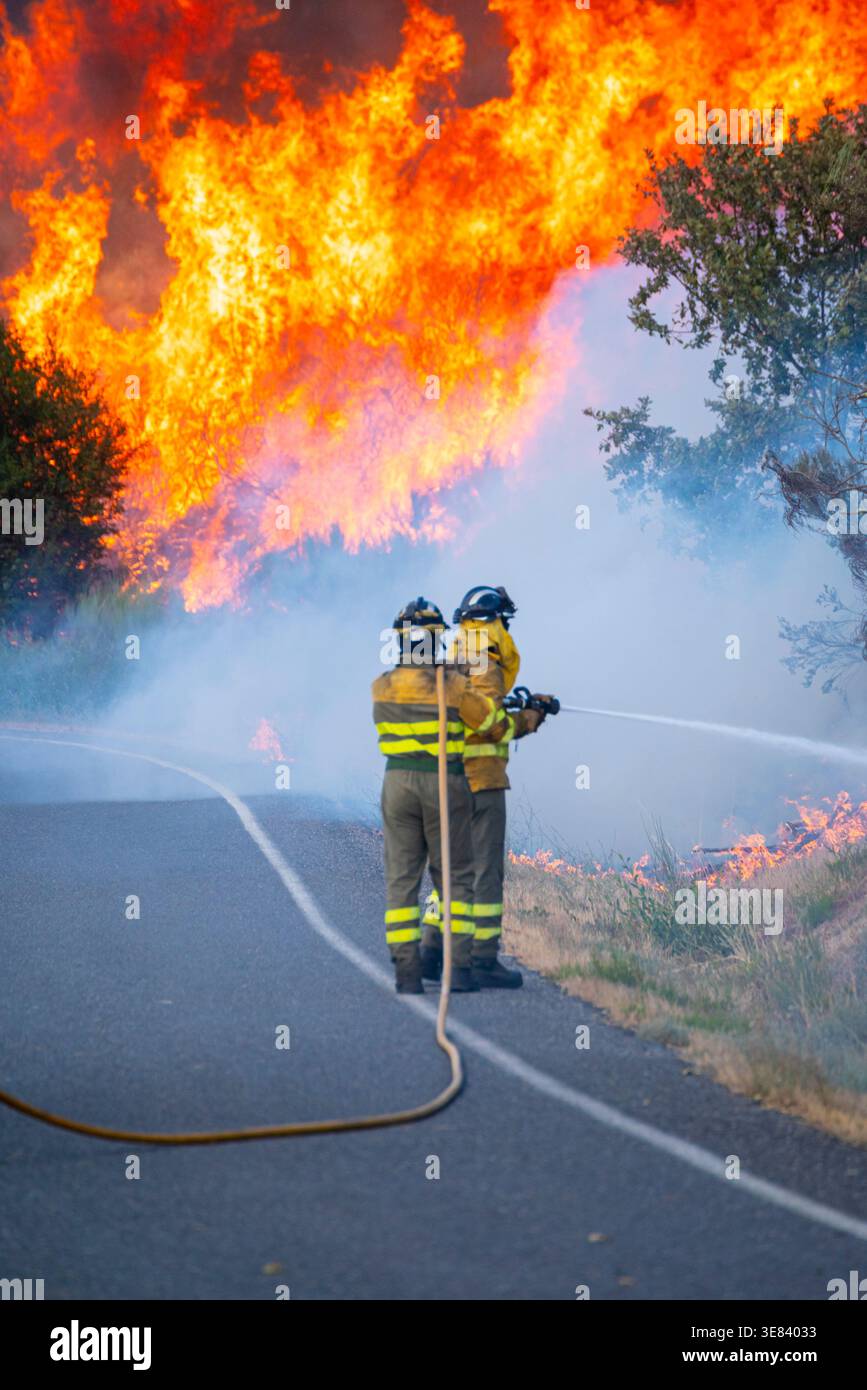 Two firemen spraying water on intense forest fire The Concept of Emergency Stock Photo
