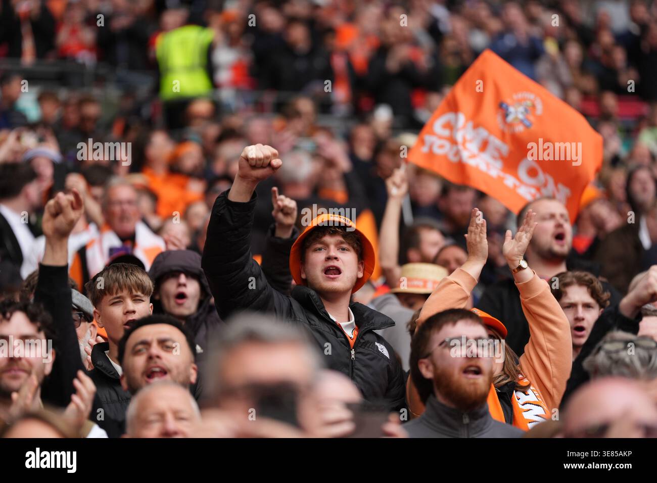 Lutton Fans Luton Town fans during the Vertu Trophy final at Wembley Stadium ...