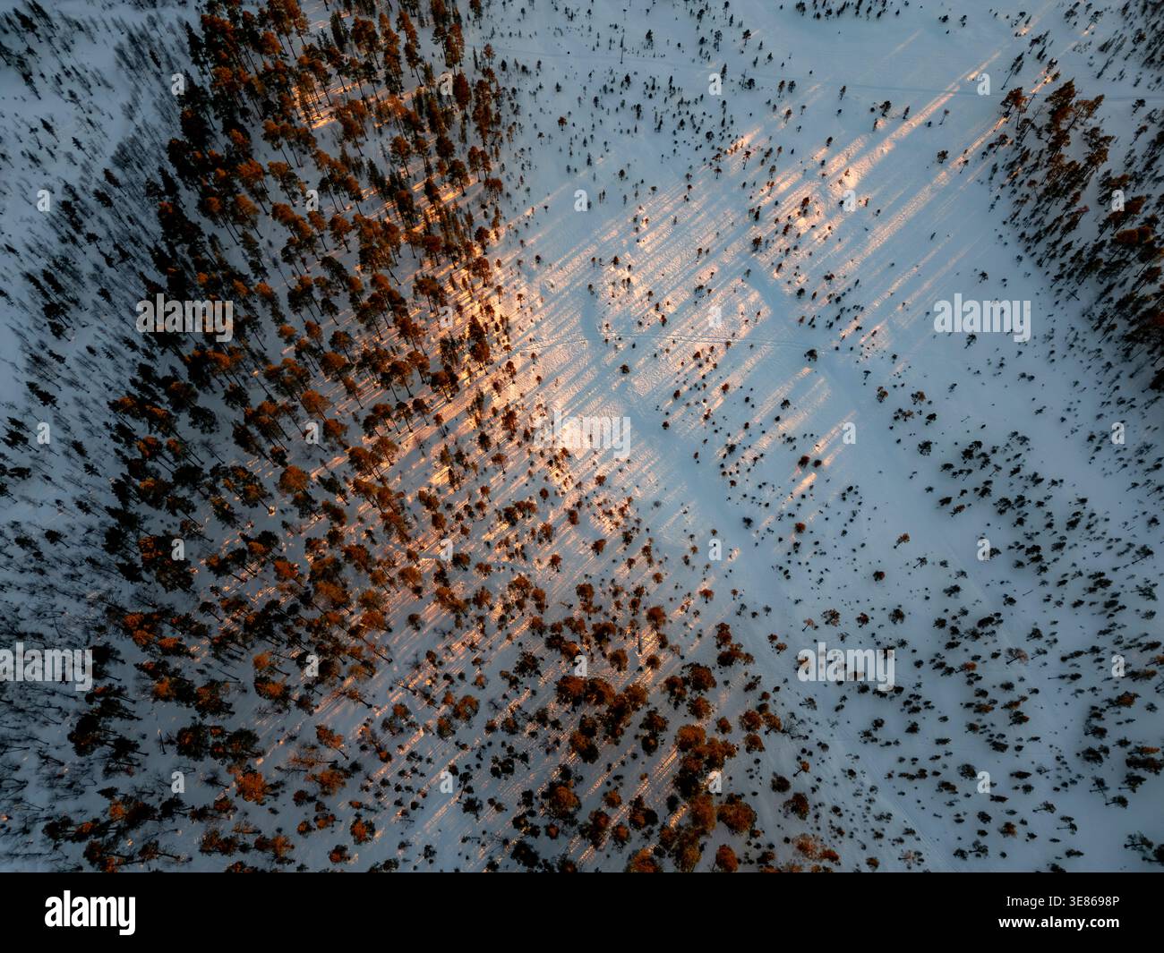 Top-down aerial view of a snowy field meeting dense winter forest in Finland, with scattered trees and long sunset shadows creating a calm, minimalist Stock Photo