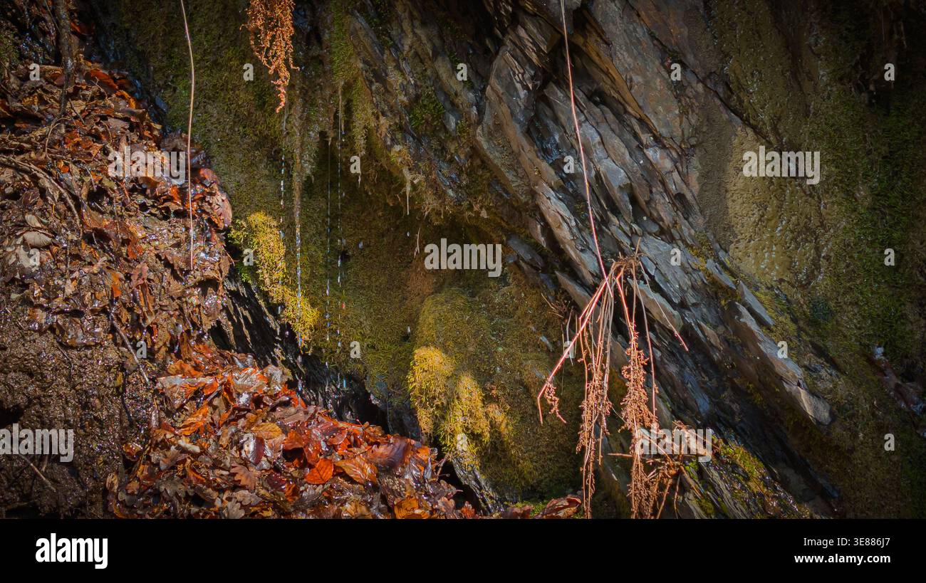 Underground seepage hi-res stock photography and images - Alamy