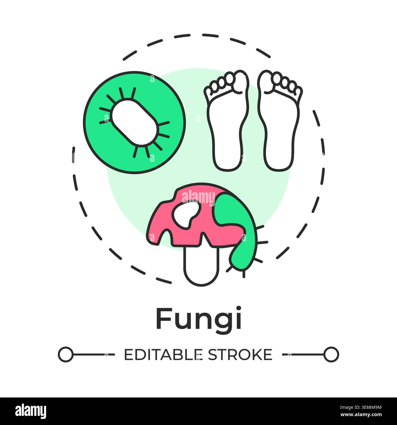 Fungi multi color concept icon Stock Vector