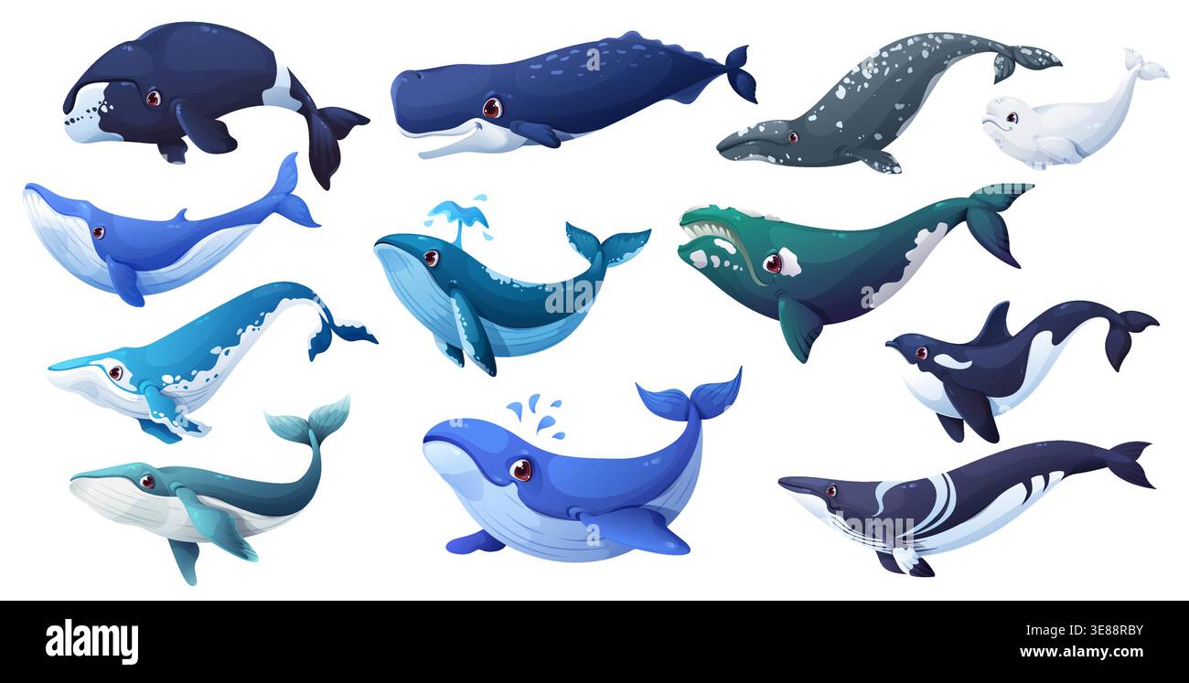 cartoon-whale-animal-characters-of-vector-cute-blue-grey-and-fin