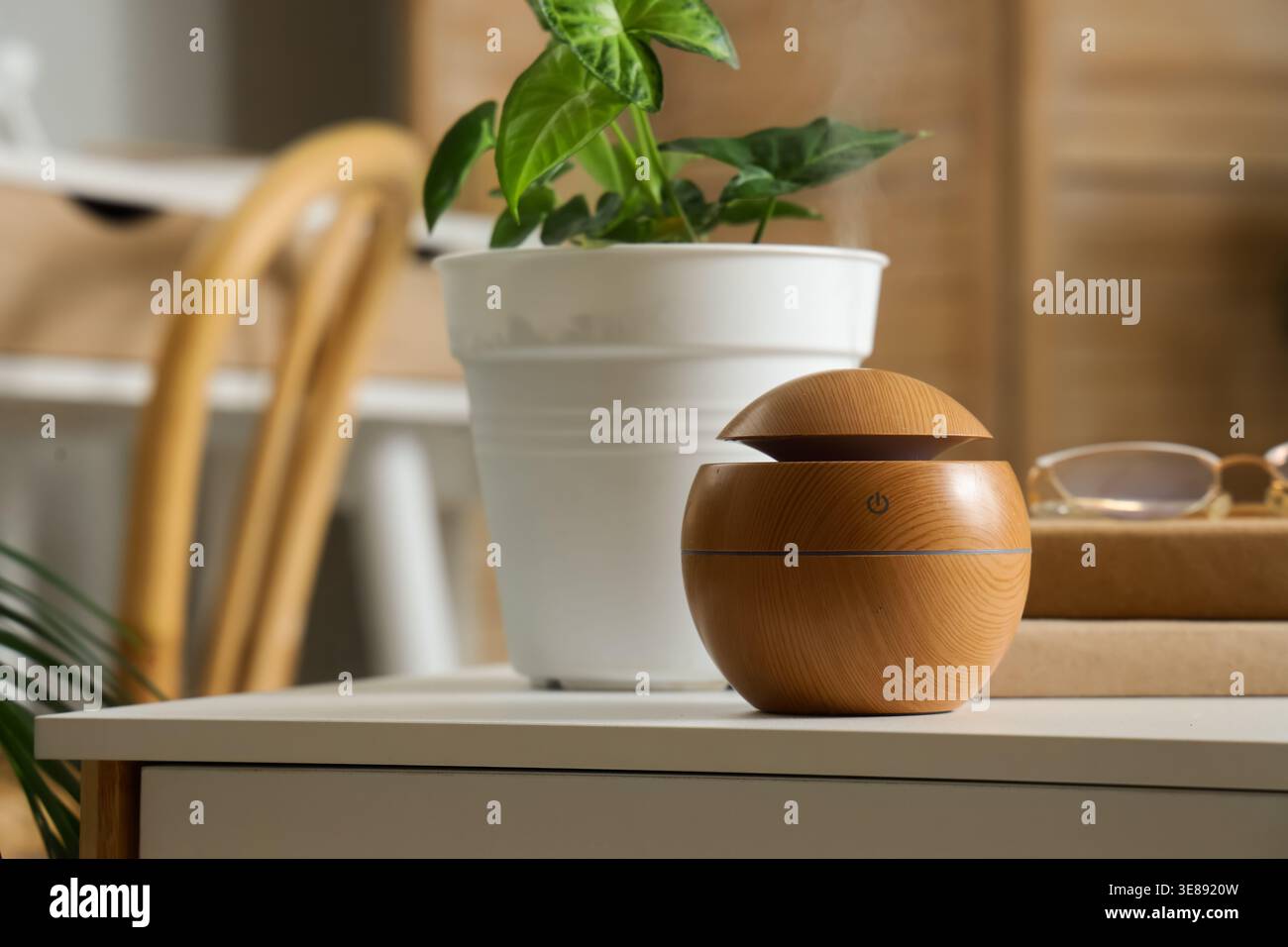 Air humidifier with green plant, books and eyeglasses on table in living  room, closeup Stock Photo - Alamy